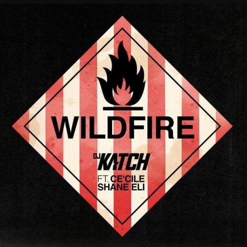 Wildfire (feat. Ce Cile & Shane Eli) [DJ BrainDeaD Remix] - DJ Katch