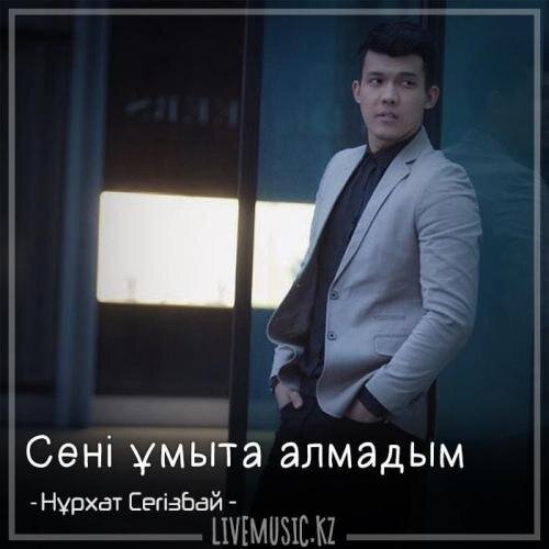 Сені ұмыта алмадым (2018) - Нұрхат Сегізбай