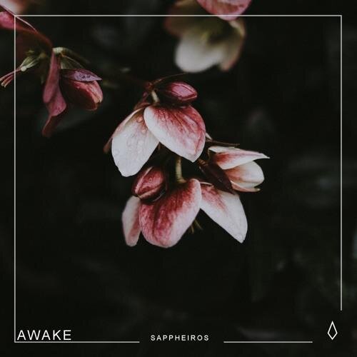 Awake - Sappheiros