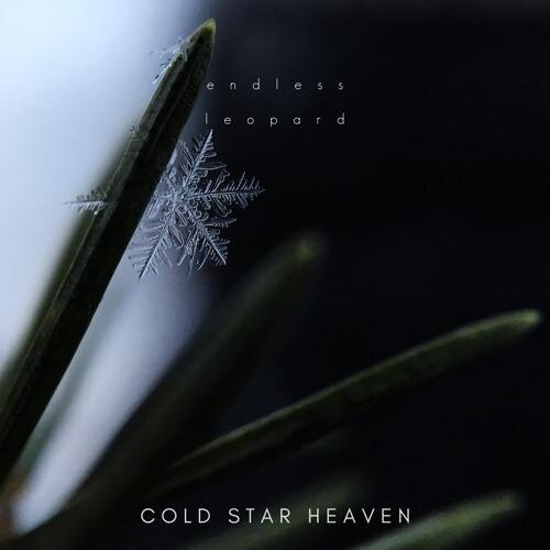 Cold Star Heaven - Endless Leopard