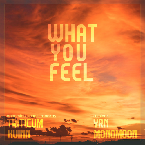 What You Feel - TRITICUM & Kvinn