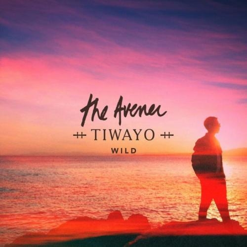 Wild - The Avener feat. TIWAYO