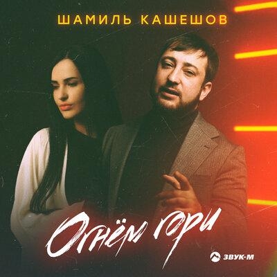 Огнём гори - Шамиль Кашешов