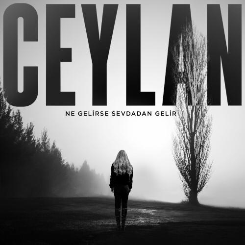 Ne Gelirse Sevdadan Gelir - Ceylan