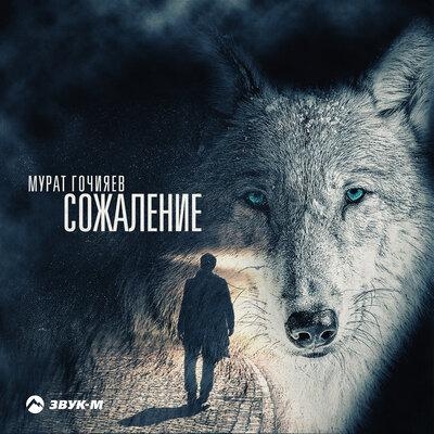 Сожаление - Мурат Гочияев