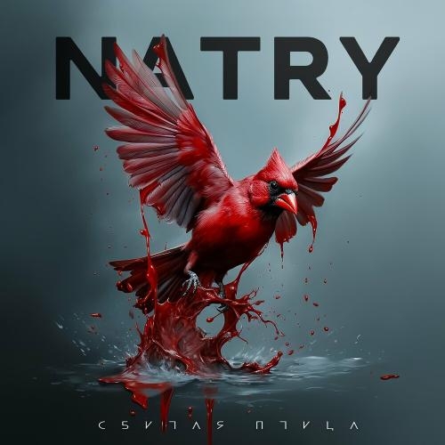 Сбитая Птица - Natry