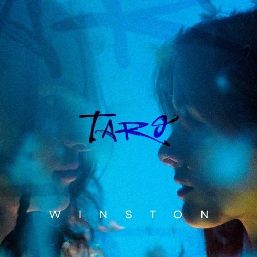 Winston - TARO