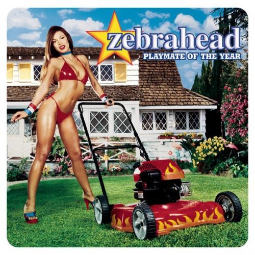 Playmate of the Year - zebrahead