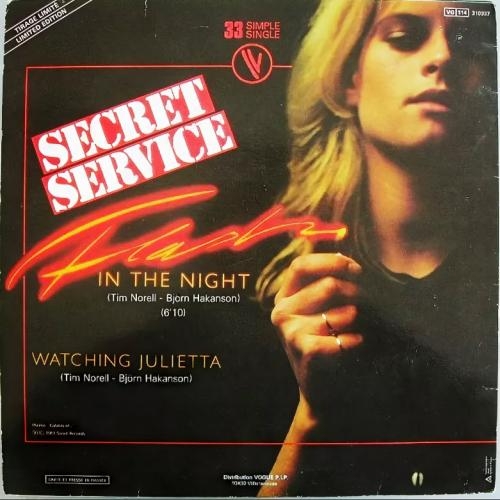 Flash In the Night - Secret Service