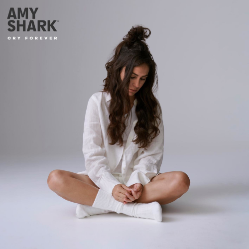 All the Lies About Me - Amy Shark