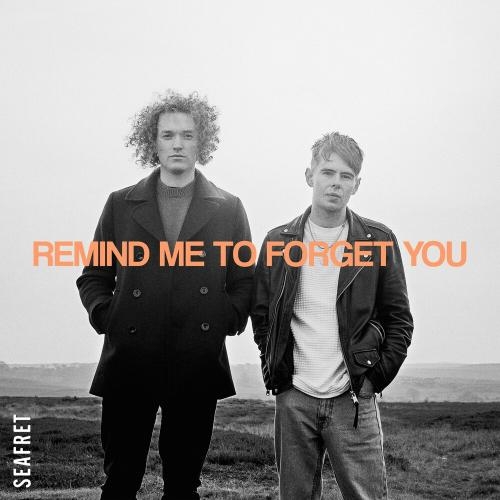 Remind Me To Forget You - Seafret