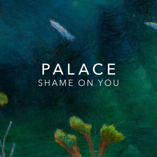 Shame On You - Palace