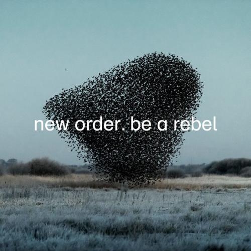 Be A Rebel (Edit) - New Order