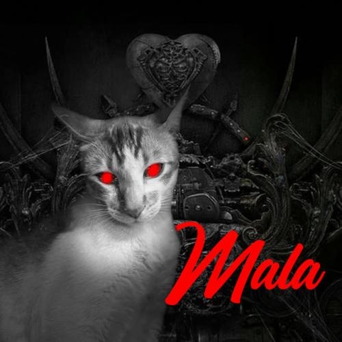 Mala (Sped Up) Remix - SECA Records,Muppet DJ