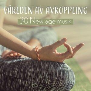 Wellnessritualen för själ - Mindfulness Meditation Världen