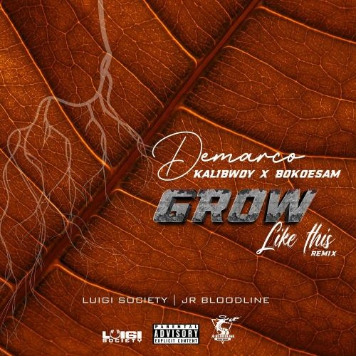 Grow Like This (Remix) - Demarco, Kalibwoy & Bokoesam feat. Luigi Society & JR Bloodline