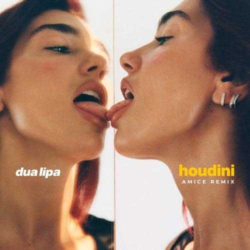 Houdini (Amice Remix) - Dua Lipa