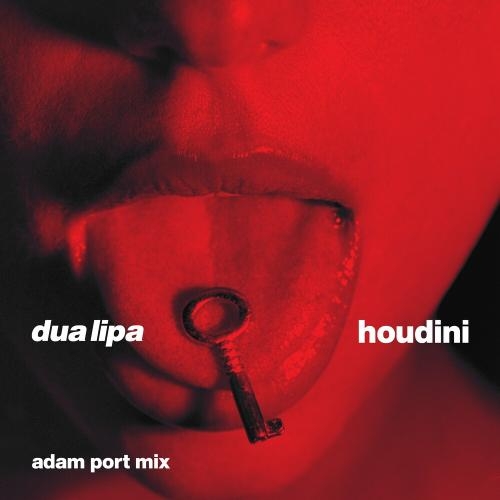 Houdini (Adam Port Mix) - Dua Lipa