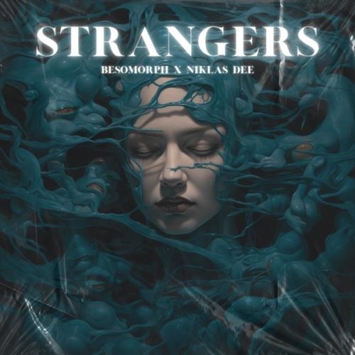 Strangers - Besomorph & Niklas Dee