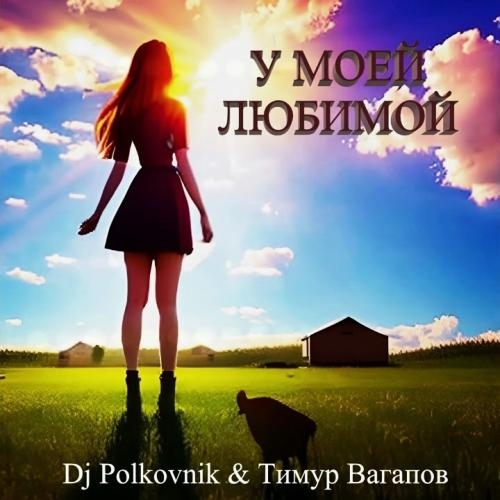 У моей любимой - Dj Polkovnik, Тимур Вагапов