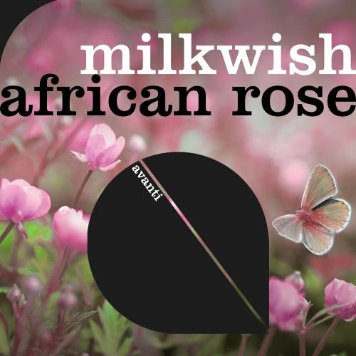 African Rose - Milkwish