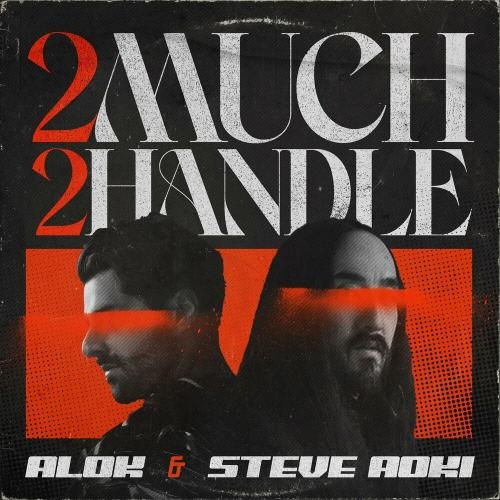 2 Much 2 Handle - Alok & Steve Aoki