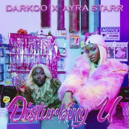 Disturbing U - Darkoo feat. Ayra Starr