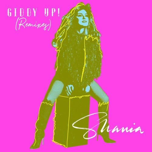 Giddy Up! (Malibu Babie Remix) - Shania Twain & Malibu Babie