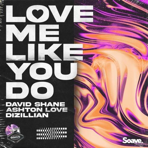 Love Me Like You Do - David Shane feat. Ashton Love & Dizillian