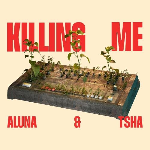 Killing Me - Aluna feat. Tsha