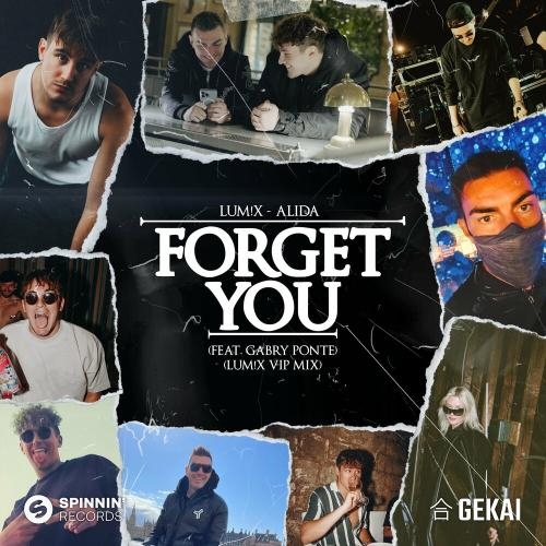 Forget You (LUM!X VIP Mix) - LUM!X feat. Alida & Gabry Ponte