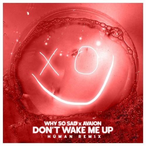 Don't Wake Me Up (Hüman Remix) - Why So Sad, Avaion & Human