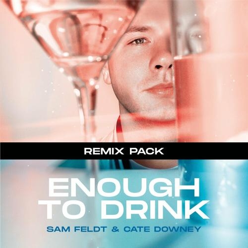 Enough To Drink (Frank Walker Remix) - Sam Feldt feat. Cate Downey