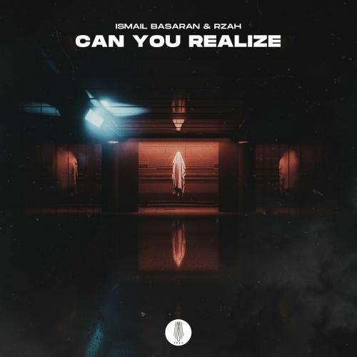 Can You Realize - Ismail Basaran & RZAH