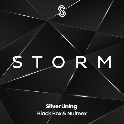 Silver Lining - Black Box, Nulteex