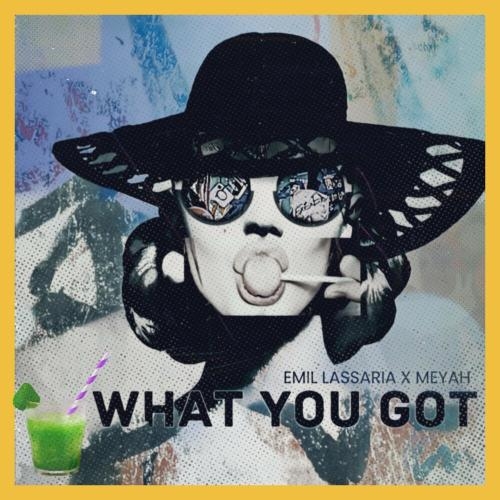 What You Got - Emil Lassaria feat. Meyah