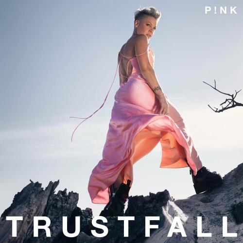 Turbulence - P!nk