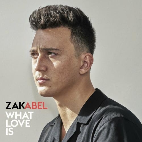 What Love Is - Zak Abel