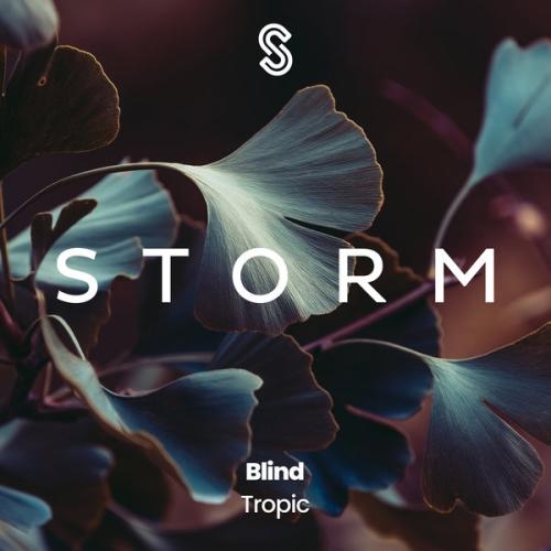 Blind (Radio Edit) - Tropic