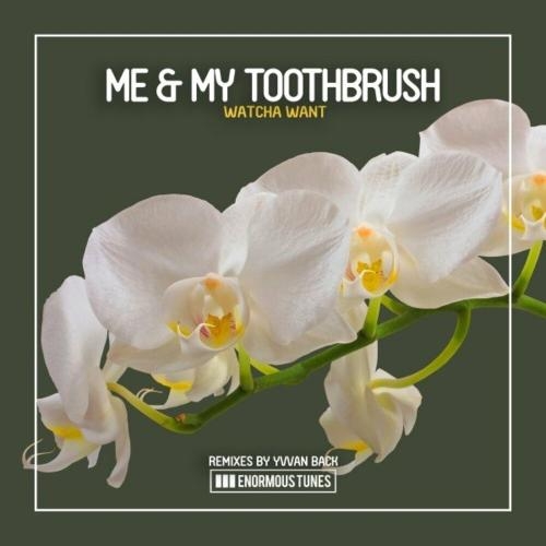 Watcha Want (Yvvan Back Remix) - Me & My Toothbrush