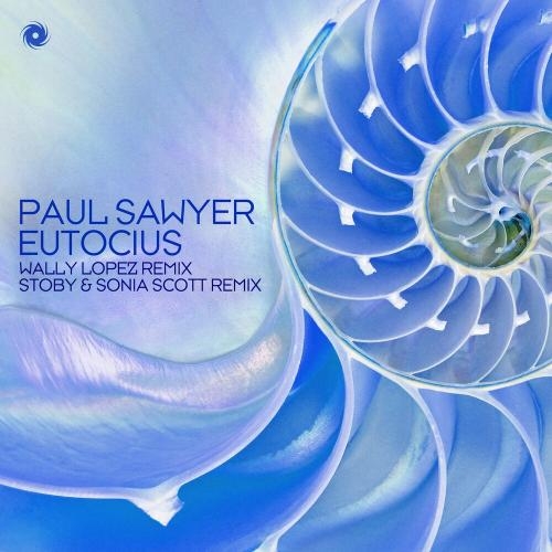 Eutocius (Wally Lopez Remix) - Paul Sawyer