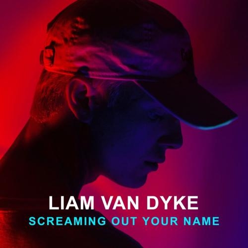 Screaming out Your Name ( DJ N7even Remix) - Liam Van Dyke