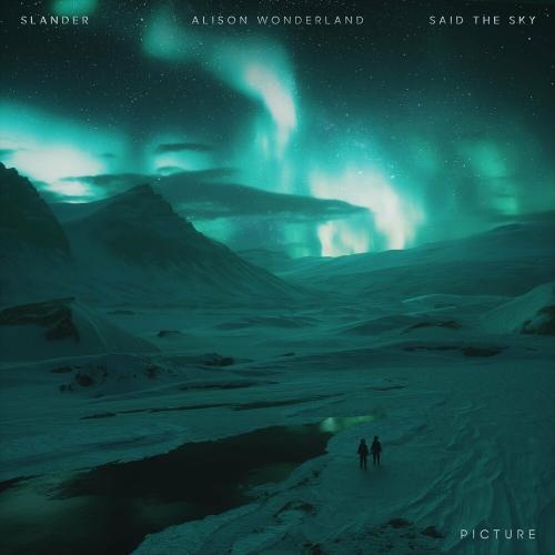 Picture - Slander feat. Alison Wonderland & Said The Sky