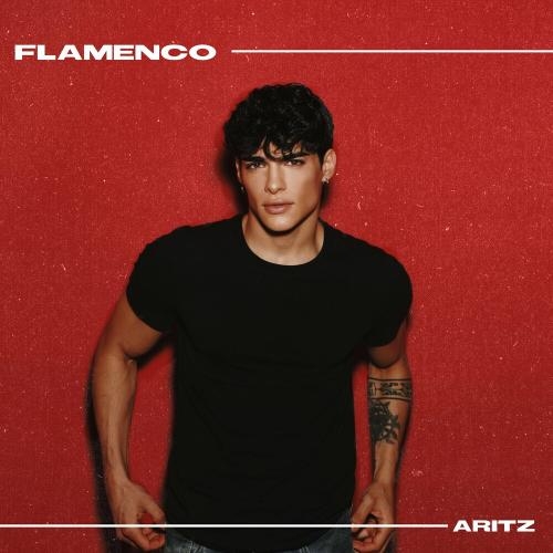 Flamenco - Aritz