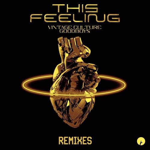 This Feeling (Fractall And Rocksted Remix) - Vintage Culture feat. Goodboys