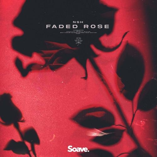 Faded Rose - Nsh