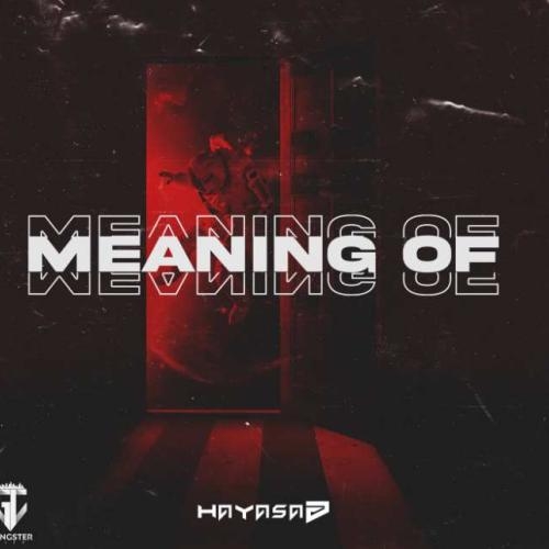 Meaning Of - HAYASA G