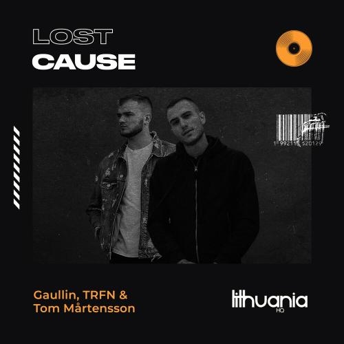 Lost Cause - Gaullin feat. TRFN & Tom Martensson