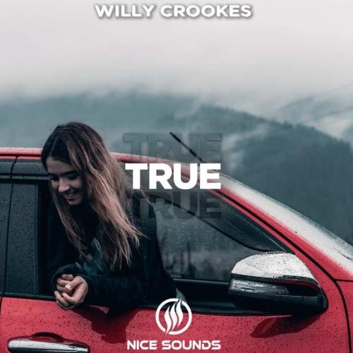 True - willy crookes