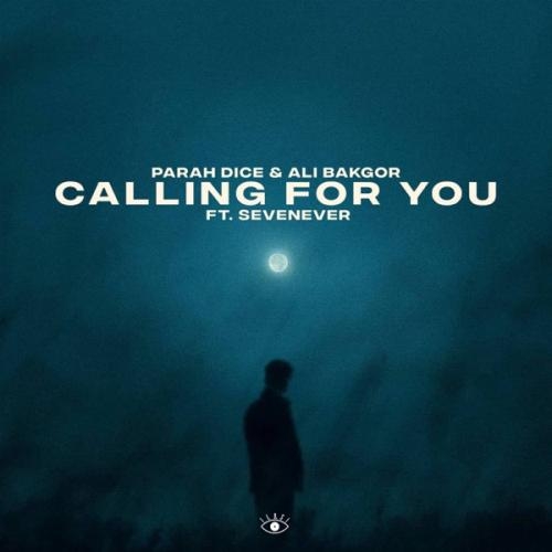 Calling For You - Parah Dice feat. Ali Bakgor & SevenEver